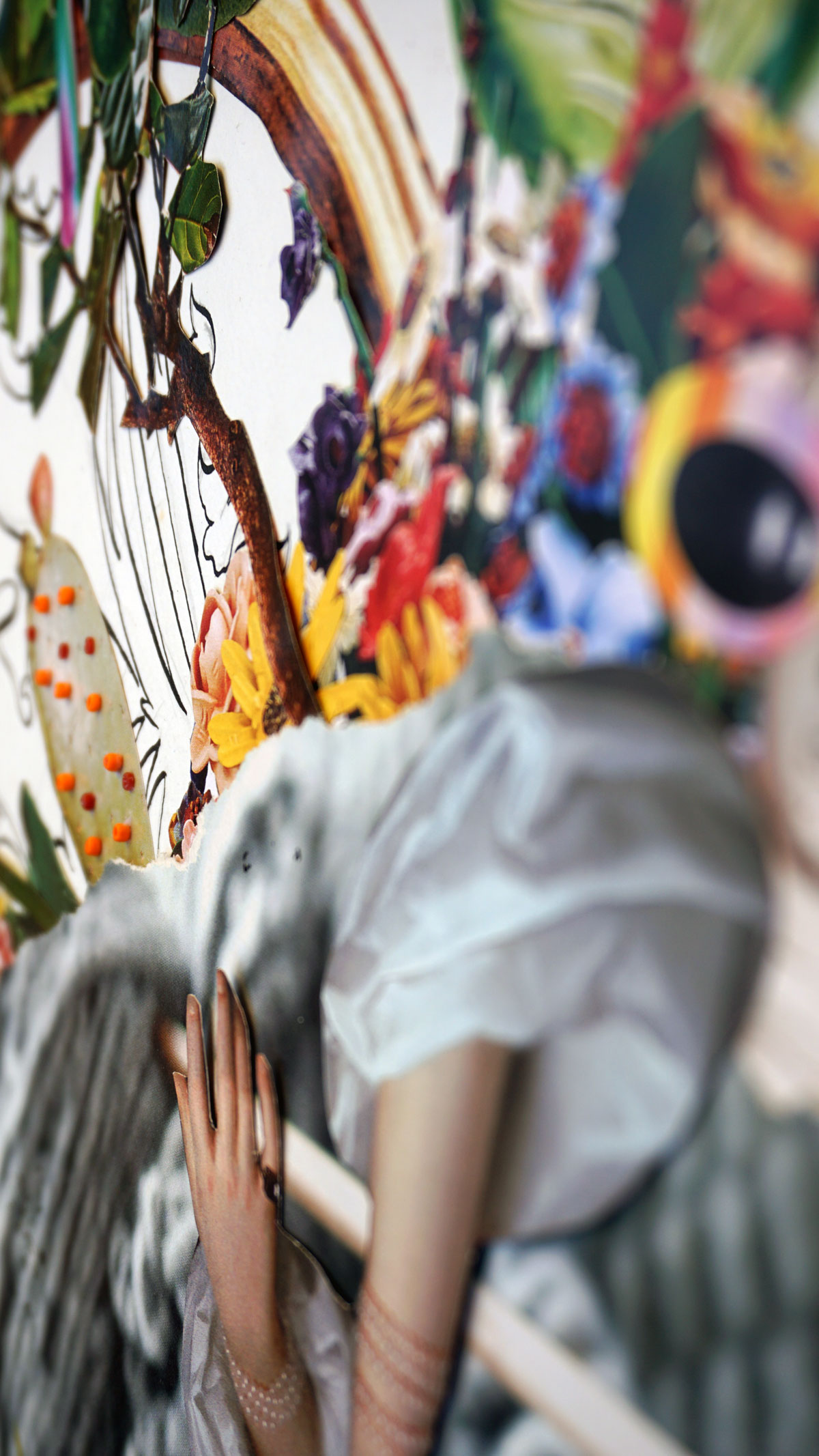 CAMINANDO-POR-LA-VIDA-6