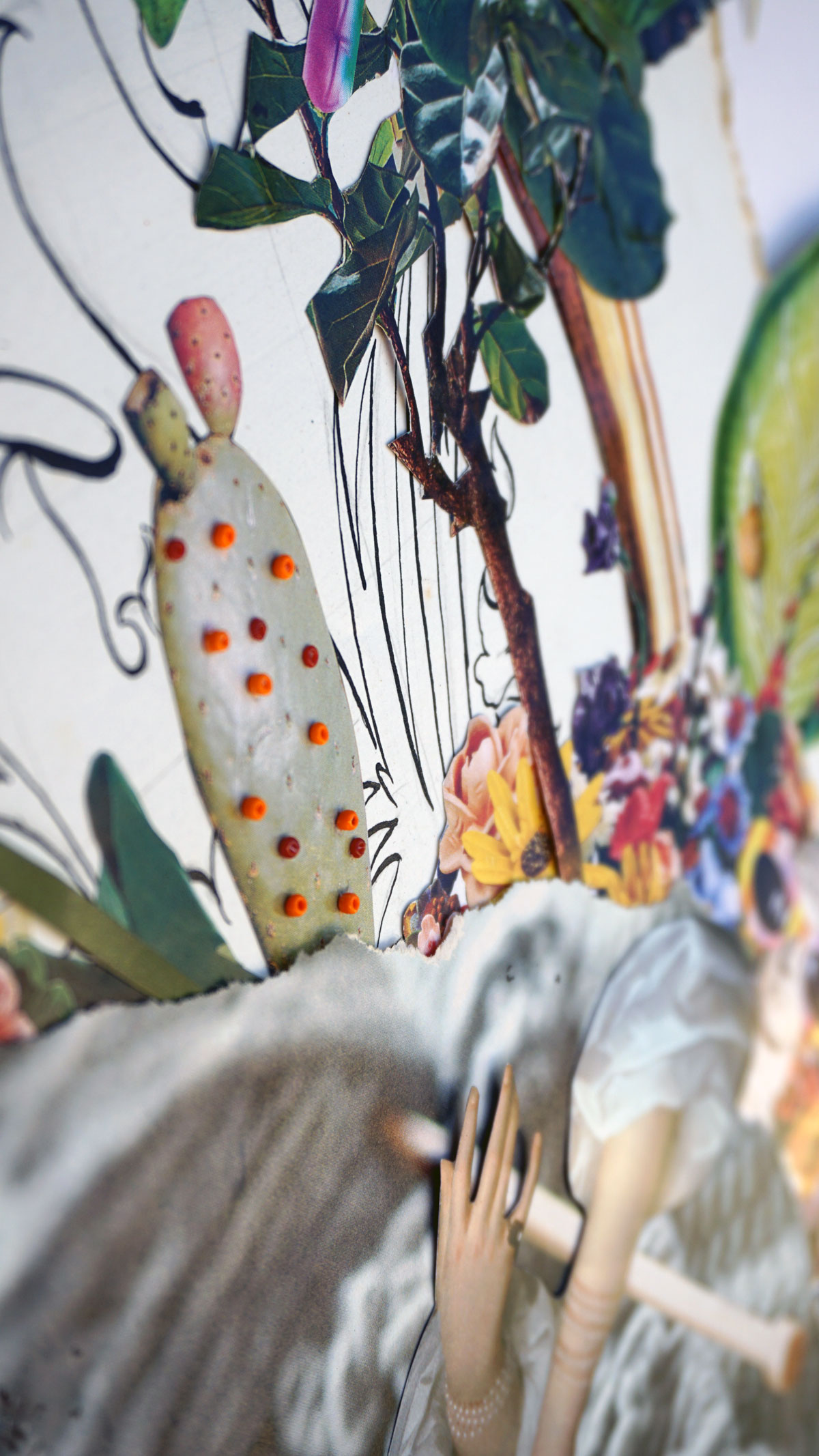 CAMINANDO-POR-LA-VIDA-7